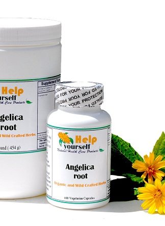 Angelica root