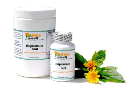 Bupleurum root